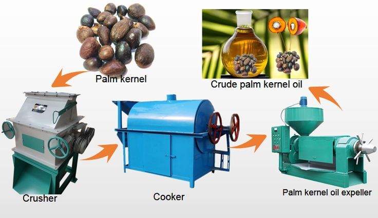 Palm Oil Process